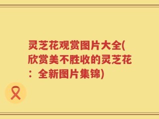 灵芝花观赏图片大全(欣赏美不胜收的灵芝花：全新图片集锦)