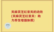 天麻灵芝红景天的功效(天麻灵芝红景天：助力养生增强体质)