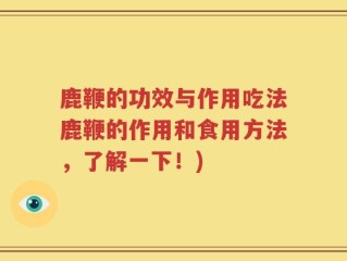 鹿鞭的功效与作用吃法鹿鞭的作用和食用方法，了解一下！)