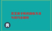 灵芝孢子粉的回收方法与技巧全解析