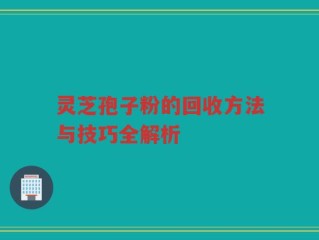 灵芝孢子粉的回收方法与技巧全解析