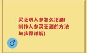 灵芝跟人参怎么泡酒(制作人参灵芝酒的方法与步骤详解)
