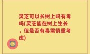 灵芝可以长树上吗有毒吗(灵芝能在树上生长，但是否有毒需慎重考虑)