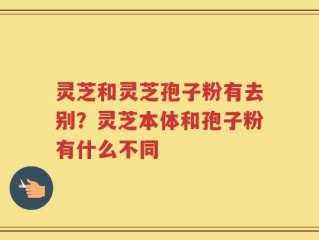 灵芝和灵芝孢子粉有去别？灵芝本体和孢子粉有什么不同