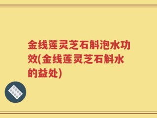 金线莲灵芝石斛泡水功效(金线莲灵芝石斛水的益处)
