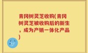 青冈树灵芝收购(青冈树灵芝被收购后的新生，成为产销一体化产品)