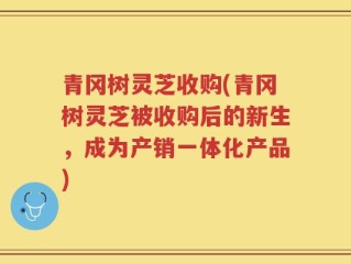 青冈树灵芝收购(青冈树灵芝被收购后的新生，成为产销一体化产品)