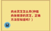 肉水灵芝怎么养(种植肉体嫩滑的灵芝，正确方法你知道吗？)