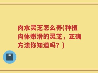 肉水灵芝怎么养(种植肉体嫩滑的灵芝，正确方法你知道吗？)