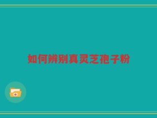 如何辨别真灵芝孢子粉
