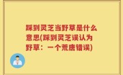 踩到灵芝当野草是什么意思(踩到灵芝误认为野草：一个荒唐错误)