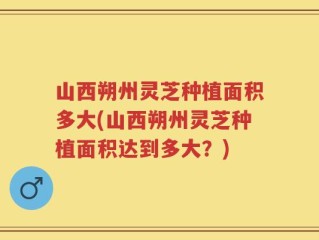 山西朔州灵芝种植面积多大(山西朔州灵芝种植面积达到多大？)