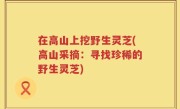 在高山上挖野生灵芝(高山采摘：寻找珍稀的野生灵芝)