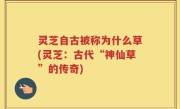 灵芝自古被称为什么草(灵芝：古代“神仙草”的传奇)