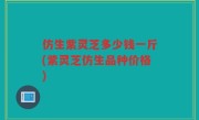 仿生紫灵芝多少钱一斤(紫灵芝仿生品种价格)