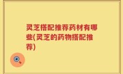 灵芝搭配推荐药材有哪些(灵芝的药物搭配推荐)