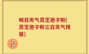 明日天气灵芝孢子粉(灵芝孢子粉三日天气预报)