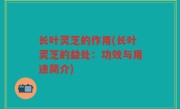 长叶灵芝的作用(长叶灵芝的益处：功效与用途简介)