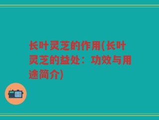 长叶灵芝的作用(长叶灵芝的益处：功效与用途简介)