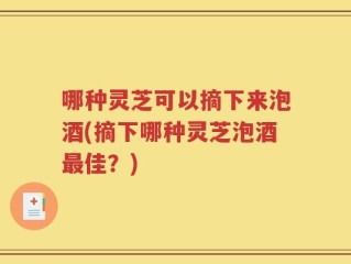 哪种灵芝可以摘下来泡酒(摘下哪种灵芝泡酒最佳？)