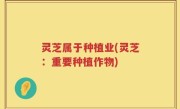 灵芝属于种植业(灵芝：重要种植作物)