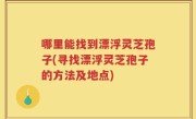 哪里能找到漂浮灵芝孢子(寻找漂浮灵芝孢子的方法及地点)