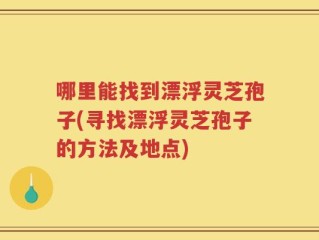 哪里能找到漂浮灵芝孢子(寻找漂浮灵芝孢子的方法及地点)