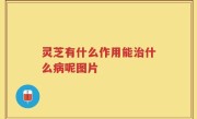 灵芝有什么作用能治什么病呢图片