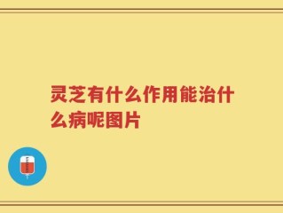灵芝有什么作用能治什么病呢图片
