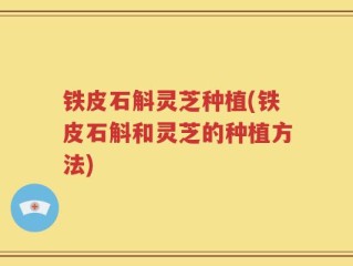铁皮石斛灵芝种植(铁皮石斛和灵芝的种植方法)