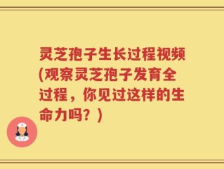 灵芝孢子生长过程视频(观察灵芝孢子发育全过程，你见过这样的生命力吗？)