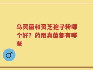 乌灵菌和灵芝孢子粉哪个好？药用真菌都有哪些