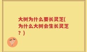 大树为什么要长灵芝(为什么大树会生长灵芝？)