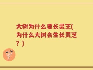 大树为什么要长灵芝(为什么大树会生长灵芝？)