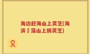 海边赶海山上灵芝(海滨採藻山上摘灵芝)