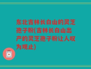 东北吉林长白山的灵芝孢子粉(吉林长白山出产的灵芝孢子粉让人叹为观止)