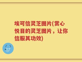 埃可信灵芝图片(赏心悦目的灵芝图片，让你信服其功效)