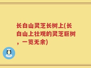 长白山灵芝长树上(长白山上壮观的灵芝巨树，一览无余)