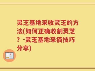 灵芝基地采收灵芝的方法(如何正确收割灵芝？-灵芝基地采摘技巧分享)