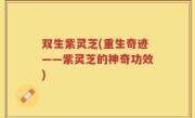 双生紫灵芝(重生奇迹——紫灵芝的神奇功效)