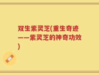 双生紫灵芝(重生奇迹——紫灵芝的神奇功效)