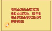 妄想山海东山草灵芝(重拾自然灵性，探寻妄想山海东山草灵芝的传奇奇遇记)