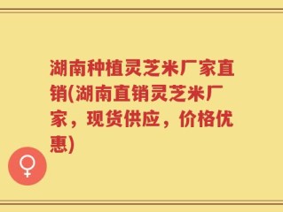 湖南种植灵芝米厂家直销(湖南直销灵芝米厂家，现货供应，价格优惠)
