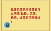 杜仲灵芝天麻红花有什么功效(杜仲、灵芝、天麻、红花的功效概述)