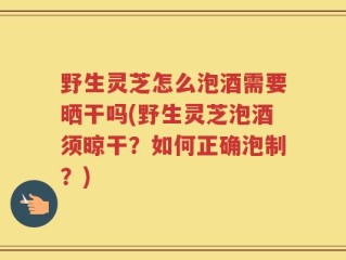 野生灵芝怎么泡酒需要晒干吗(野生灵芝泡酒须晾干？如何正确泡制？)