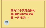 国内20个灵芝品种大全(国内20种常见灵芝 一网打尽！)