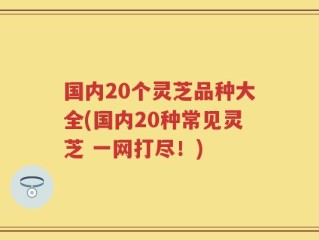 国内20个灵芝品种大全(国内20种常见灵芝 一网打尽！)