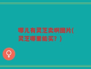 哪儿有灵芝卖啊图片(灵芝哪里能买？)