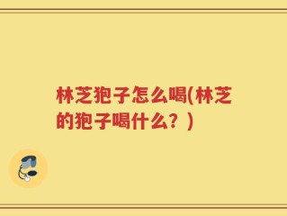 林芝狍子怎么喝(林芝的狍子喝什么？)