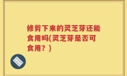 修剪下来的灵芝芽还能食用吗(灵芝芽是否可食用？)